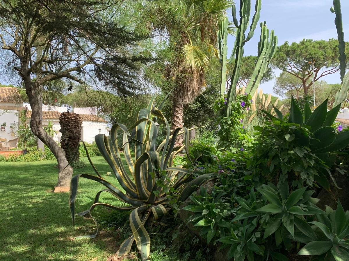 Finca Filpi Hotel Чиклана де ла Фронтера Екстериор снимка