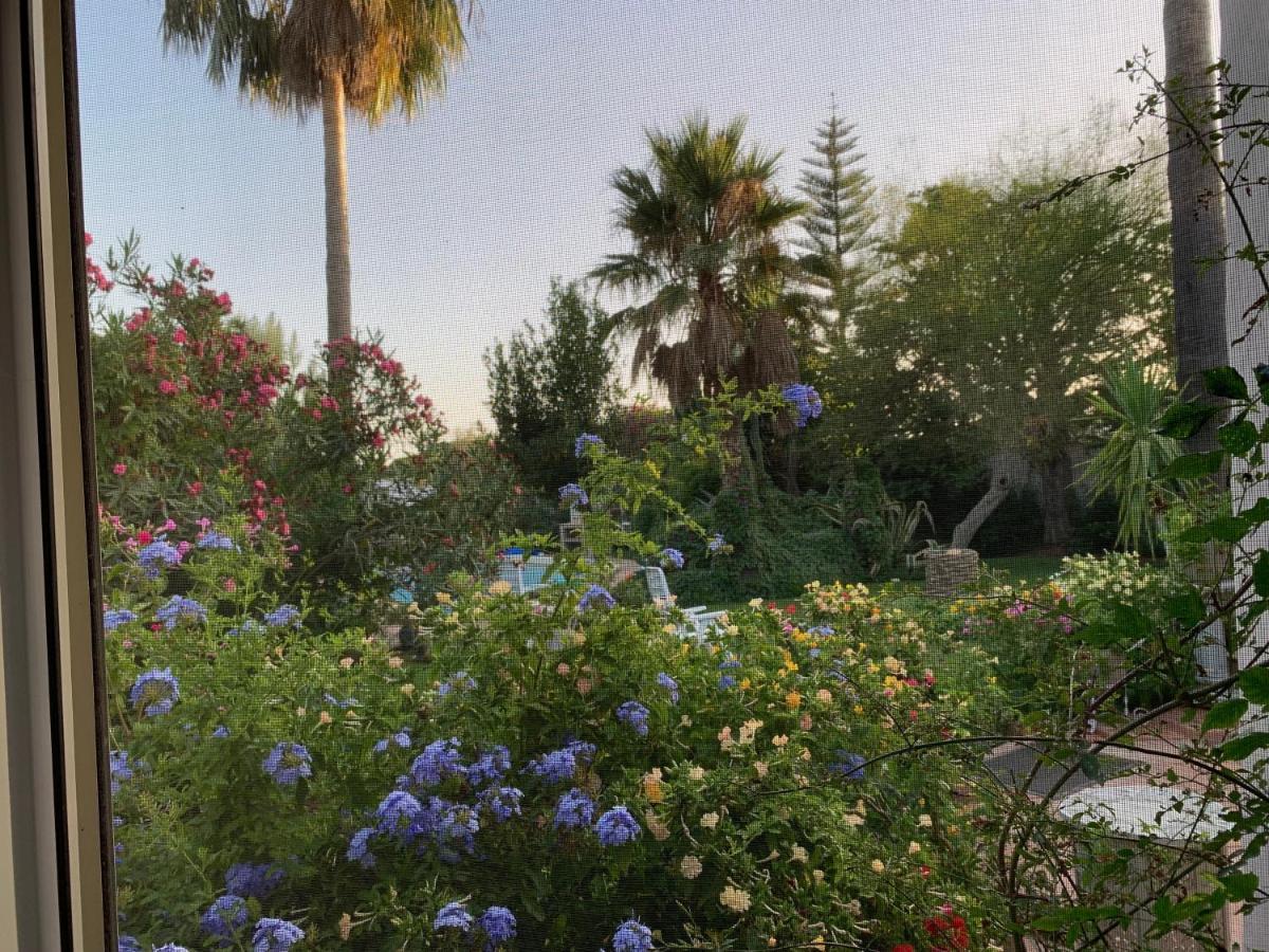 Finca Filpi Hotel Чиклана де ла Фронтера Екстериор снимка
